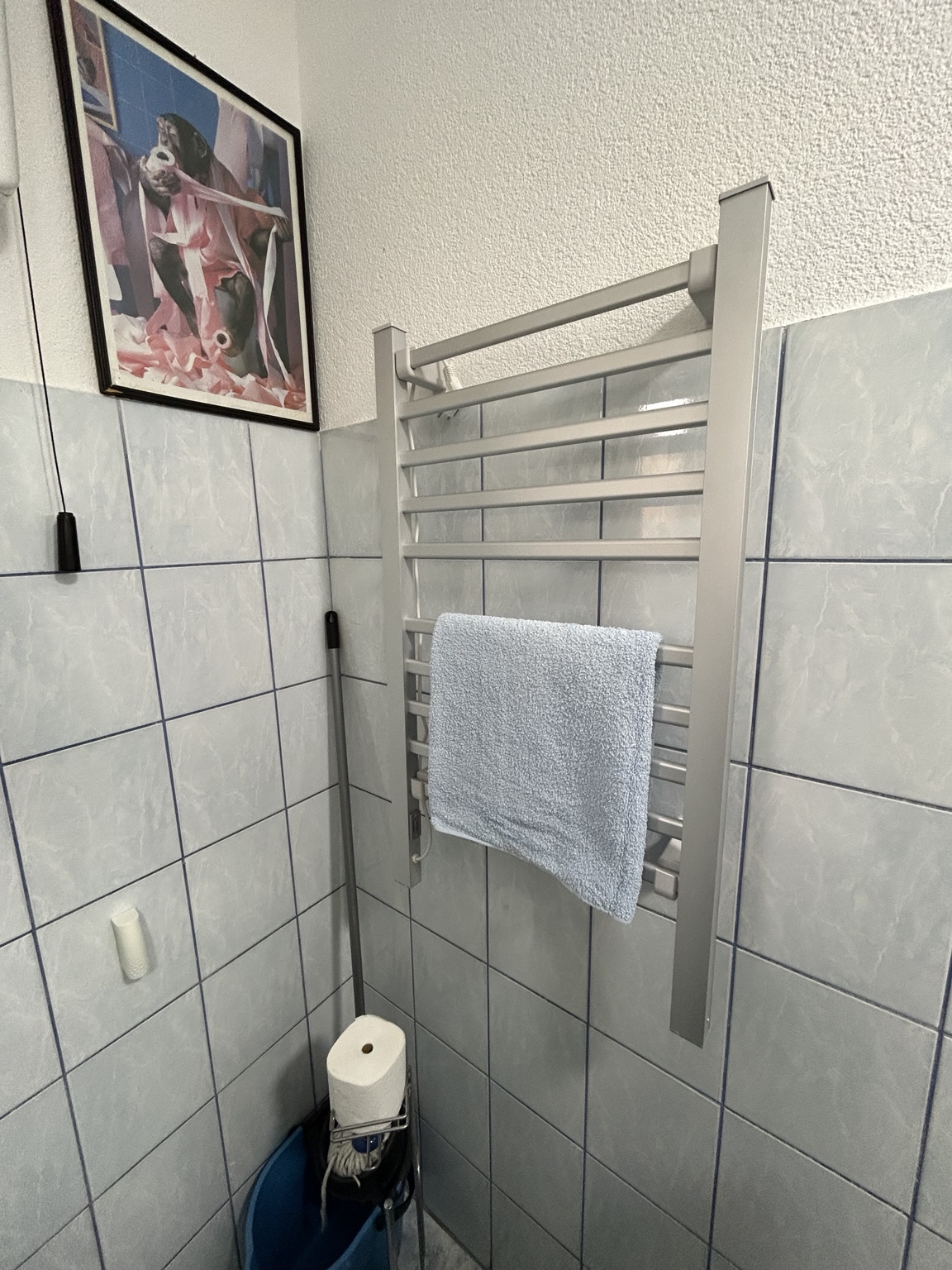 Zidni sušač sa peškirom u kupatilu apartmana MIRAX